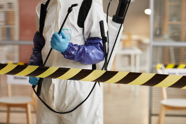 Professional Sewage Cleanup technician working in West Nottingham, NH